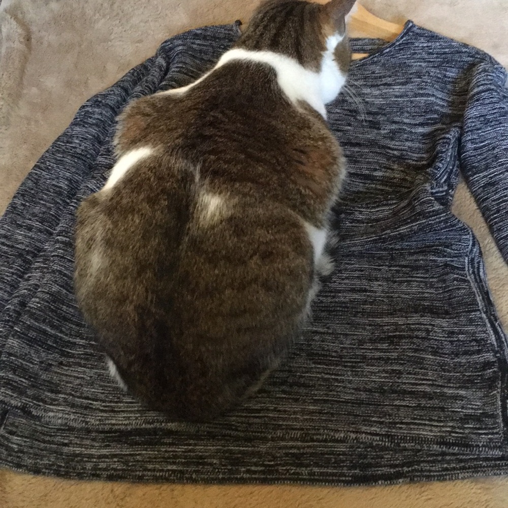 Sweater - Picture 5 of 5
